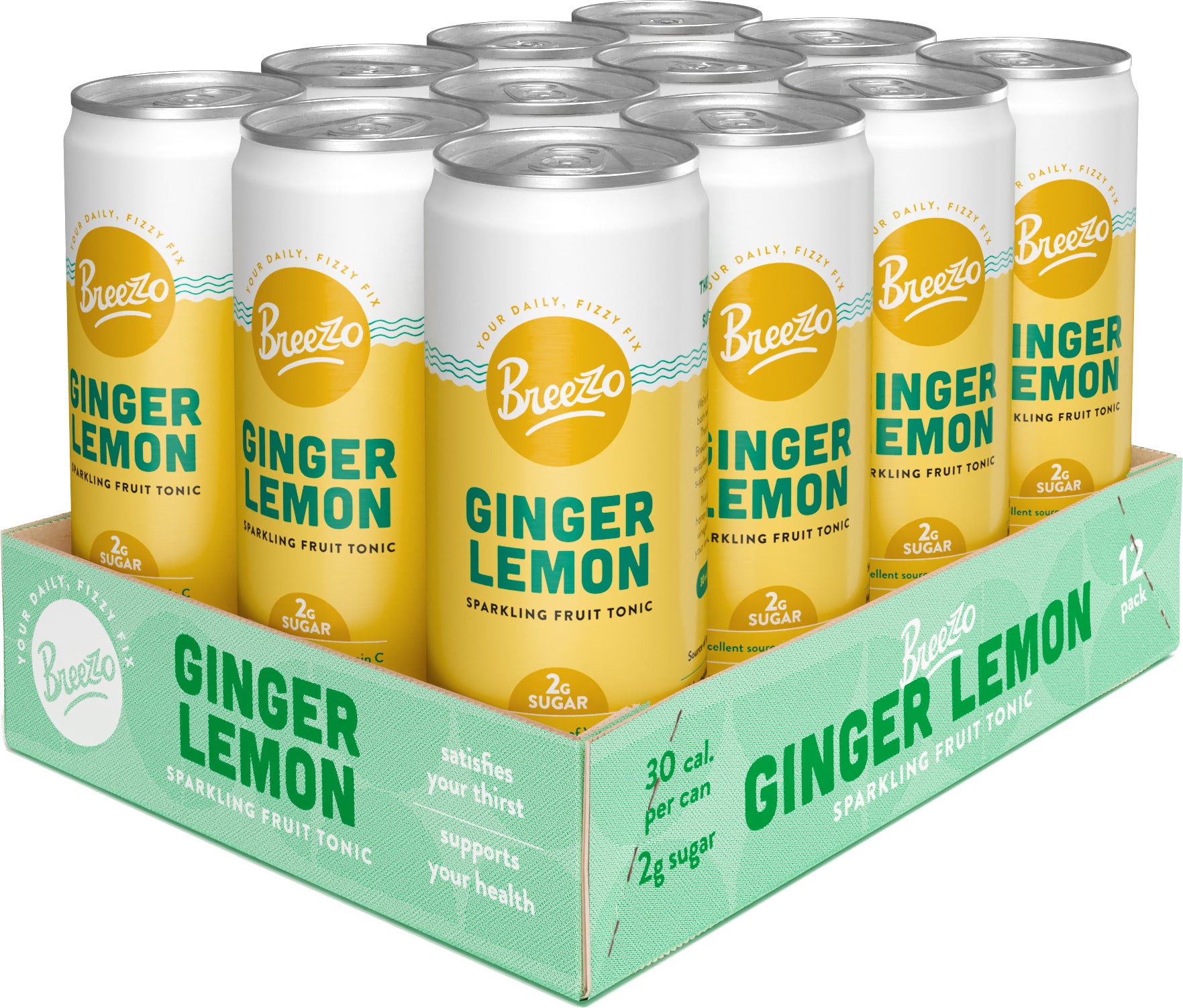 Ginger Lemon 12 Pack