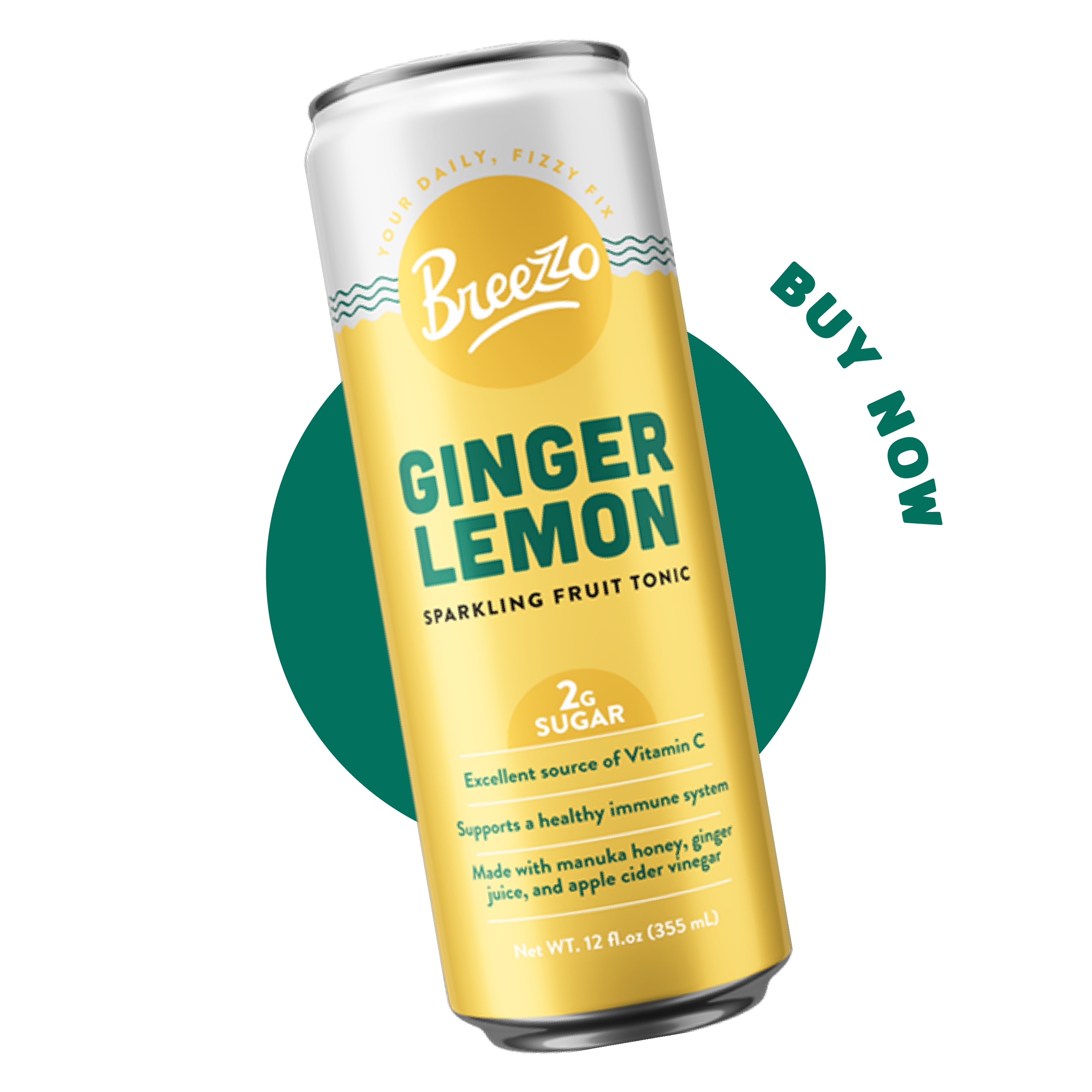 Ginger Lemon 12 Pack